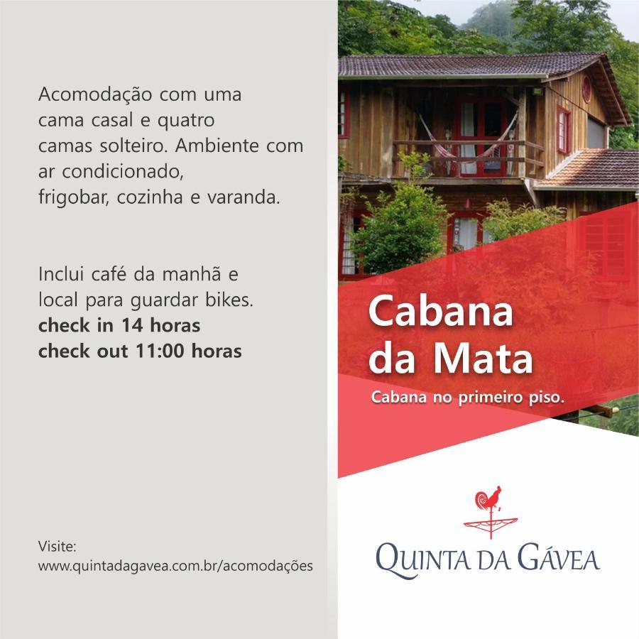 Quinta Da Gavea - Hospedaria E Quintal Criativo Rodeio Экстерьер фото